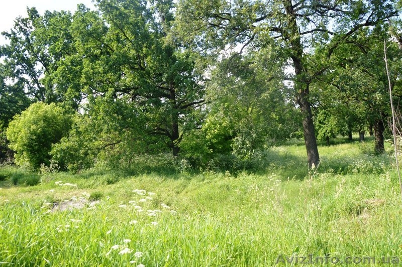 Бориспольском районе ,продам участок 10 соток, для дачи. - <ro>Изображение</ro><ru>Изображение</ru> #6, <ru>Объявление</ru> #1127837