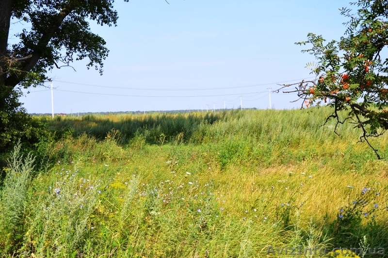 Продам Киевской областе селе Ревне,участок 10 соток. - <ro>Изображение</ro><ru>Изображение</ru> #4, <ru>Объявление</ru> #1127827