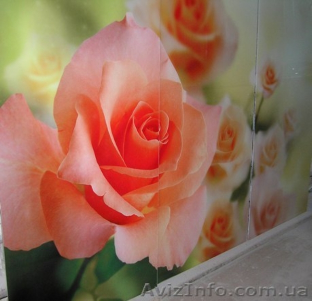 Корпусная мебель. Своё производство. Опт и розница. - <ro>Изображение</ro><ru>Изображение</ru> #9, <ru>Объявление</ru> #1132682