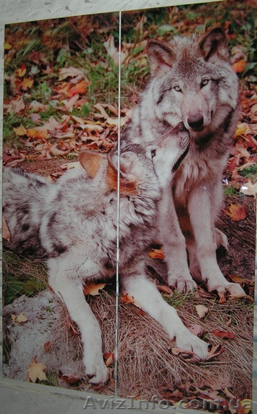 Корпусная мебель. Своё производство. Опт и розница. - <ro>Изображение</ro><ru>Изображение</ru> #10, <ru>Объявление</ru> #1132682