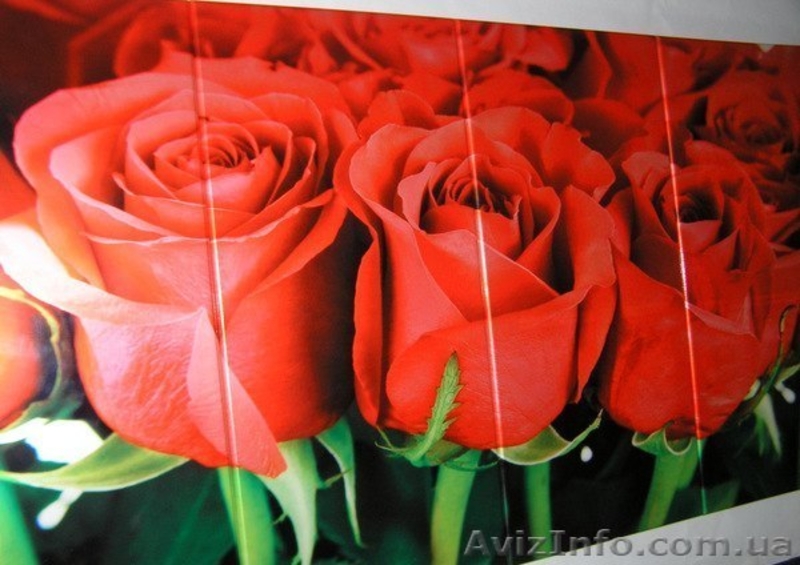 Корпусная мебель. Своё производство. Опт и розница. - <ro>Изображение</ro><ru>Изображение</ru> #7, <ru>Объявление</ru> #1132682