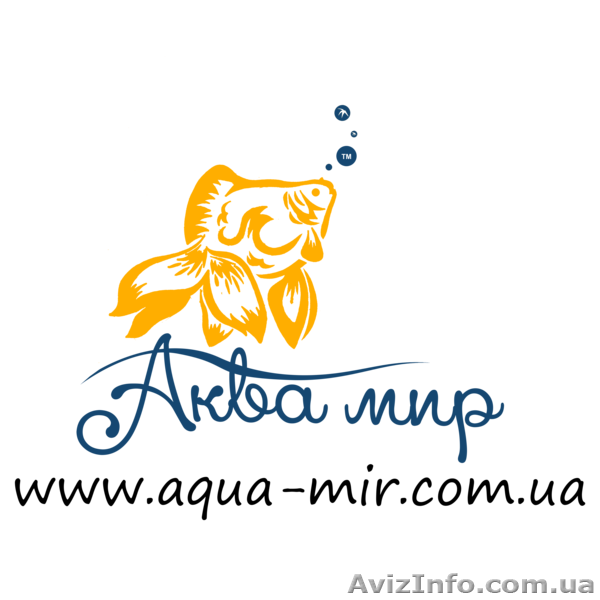 Аквариумы  «под ключ» в Киеве - <ro>Изображение</ro><ru>Изображение</ru> #8, <ru>Объявление</ru> #1144829