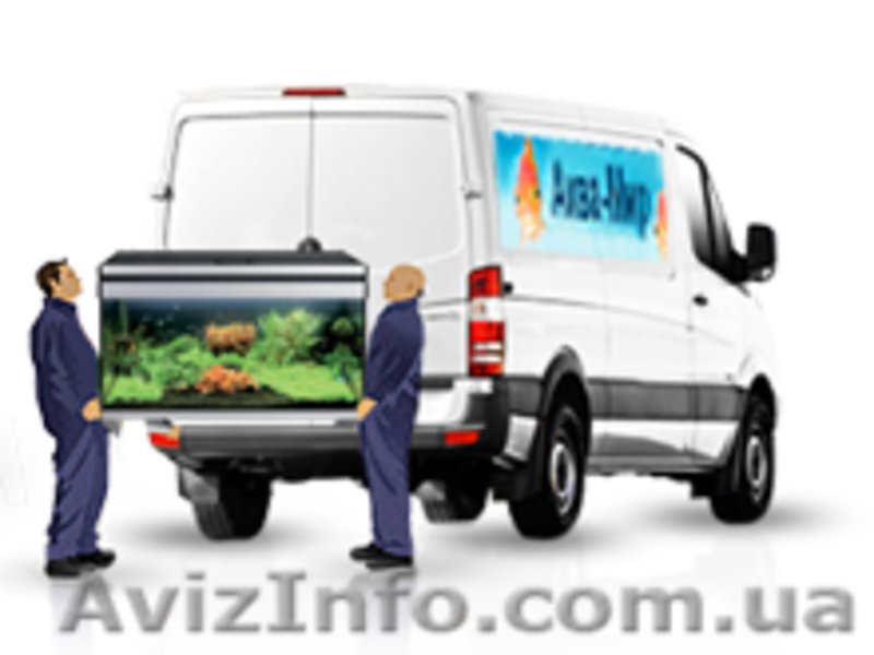 Перевозка аквариумов и террариумов в Киеве и области - <ro>Изображение</ro><ru>Изображение</ru> #3, <ru>Объявление</ru> #1144850