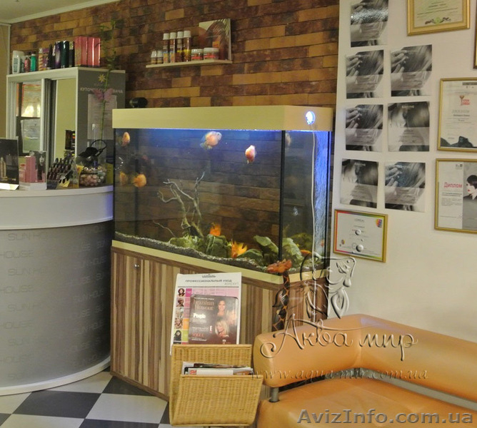 Аквариумы  «под ключ» в Киеве - <ro>Изображение</ro><ru>Изображение</ru> #1, <ru>Объявление</ru> #1144829
