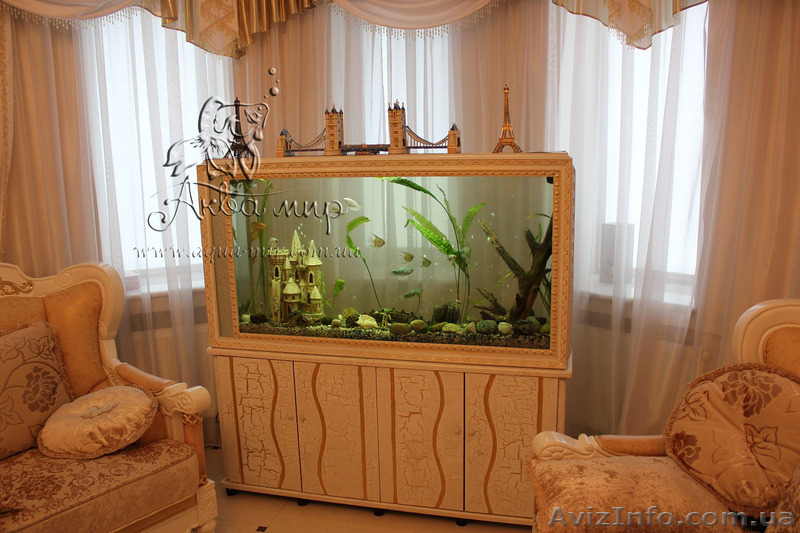 Обслуживание аквариумов и террариумов в Киеве - <ro>Изображение</ro><ru>Изображение</ru> #3, <ru>Объявление</ru> #1144825