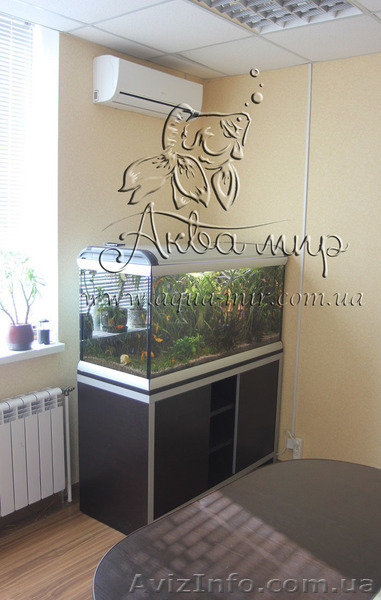 Обслуживание аквариумов и террариумов в Киеве - <ro>Изображение</ro><ru>Изображение</ru> #8, <ru>Объявление</ru> #1144825