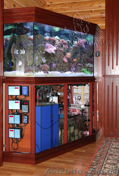 Изготовление аквариумов и террариумов из стекла по Вашим размерам - <ro>Изображение</ro><ru>Изображение</ru> #5, <ru>Объявление</ru> #1144826