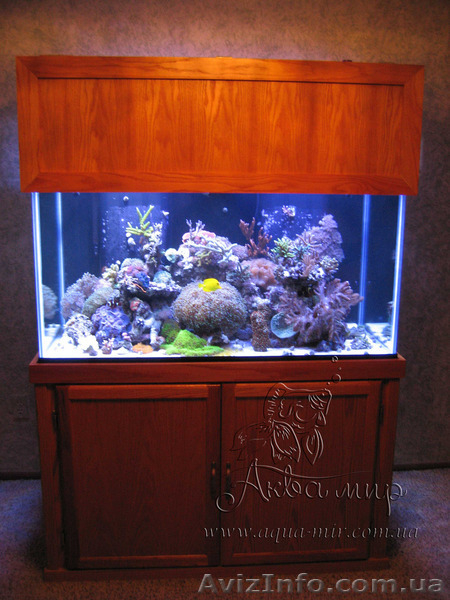 Изготовление аквариумов и террариумов из стекла по Вашим размерам - <ro>Изображение</ro><ru>Изображение</ru> #8, <ru>Объявление</ru> #1144826