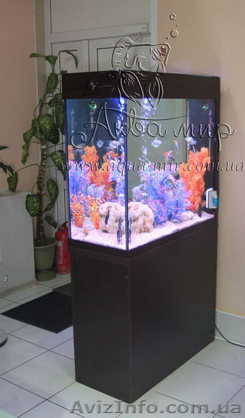 Аквариумы  «под ключ» в Киеве - <ro>Изображение</ro><ru>Изображение</ru> #3, <ru>Объявление</ru> #1144829