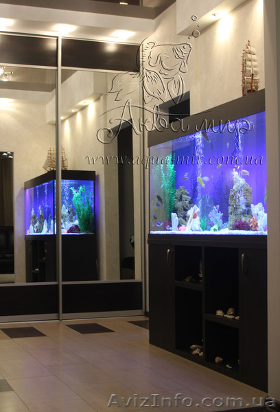Аквариумный интернет магазин - <ro>Изображение</ro><ru>Изображение</ru> #5, <ru>Объявление</ru> #1144832