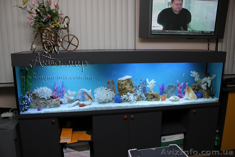 Изготовление тумб и подставок под аквариумы и террариумы - <ro>Изображение</ro><ru>Изображение</ru> #5, <ru>Объявление</ru> #1144843