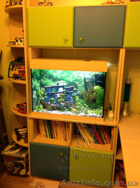 Оформление и запуск аквариумов и терррариумов в Киеве - <ro>Изображение</ro><ru>Изображение</ru> #5, <ru>Объявление</ru> #1144849