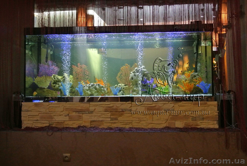 Перевозка аквариумов и террариумов в Киеве и области - <ro>Изображение</ro><ru>Изображение</ru> #1, <ru>Объявление</ru> #1144850