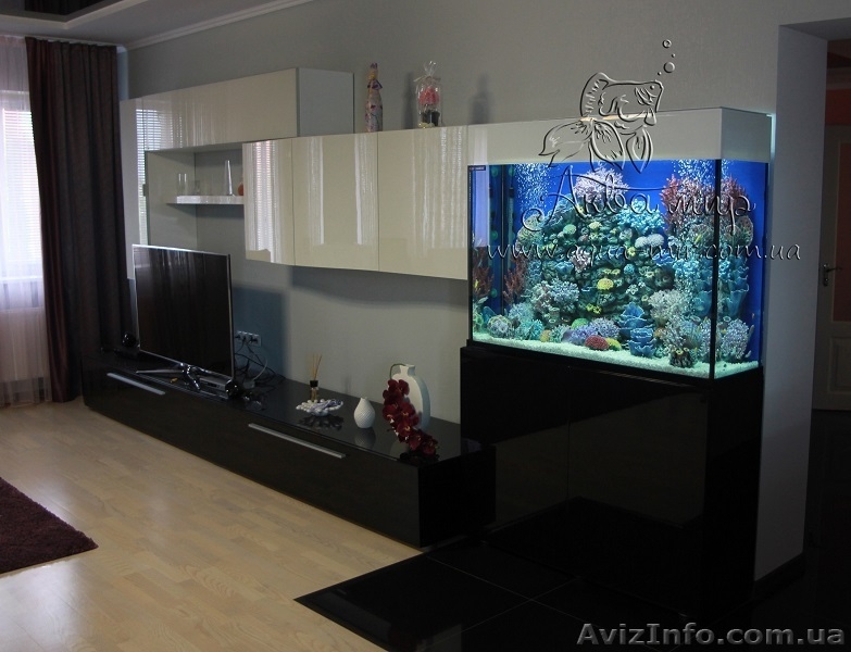 Аквариумы  «под ключ» в Киеве - <ro>Изображение</ro><ru>Изображение</ru> #7, <ru>Объявление</ru> #1144829