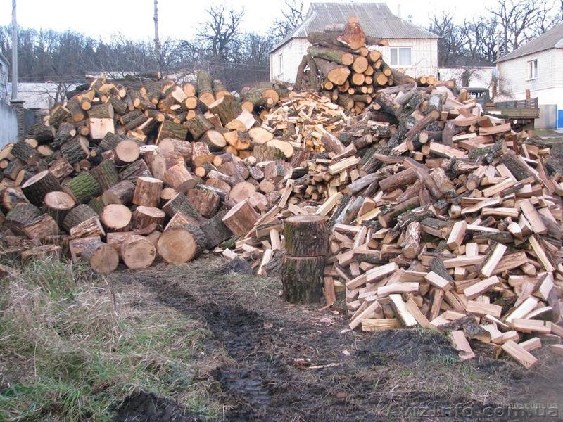 Дрова Колотые Дуб, Береза, Сосна 0984576969 - <ro>Изображение</ro><ru>Изображение</ru> #2, <ru>Объявление</ru> #1144762