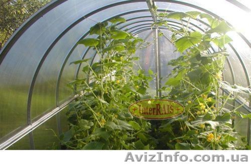 Тепличные плёнки. - <ro>Изображение</ro><ru>Изображение</ru> #3, <ru>Объявление</ru> #1150430