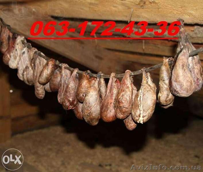 Бобровая струя(Мускус,Кастроем)от охотника - <ro>Изображение</ro><ru>Изображение</ru> #3, <ru>Объявление</ru> #1166264