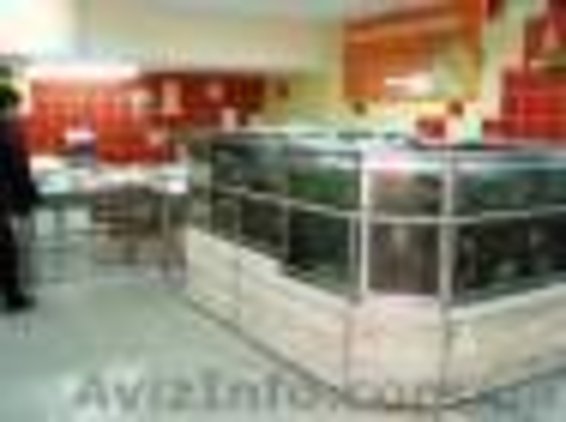 Торговые Аквариумы Витрина Рыба на льду 0984576969 - <ro>Изображение</ro><ru>Изображение</ru> #5, <ru>Объявление</ru> #1160581