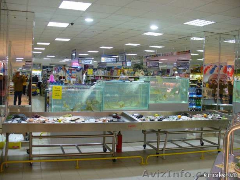 Торговые Аквариумы Витрина Рыба на льду 0984576969 - <ro>Изображение</ro><ru>Изображение</ru> #1, <ru>Объявление</ru> #1160581