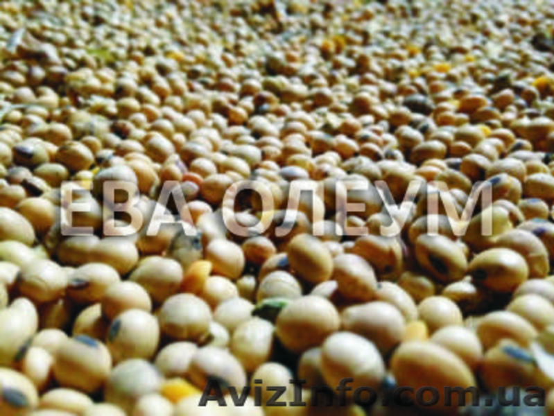 Услуги по сушке зерновых и бобовых культур - <ro>Изображение</ro><ru>Изображение</ru> #1, <ru>Объявление</ru> #1171646