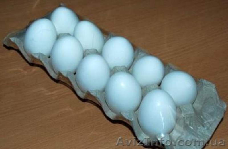 Термоусадочная упаковочная машина мод. RP 55 - <ro>Изображение</ro><ru>Изображение</ru> #8, <ru>Объявление</ru> #1176756