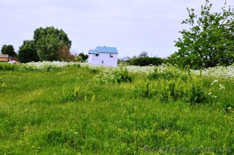 Продам участок в Рогозове! - <ro>Изображение</ro><ru>Изображение</ru> #7, <ru>Объявление</ru> #1186995