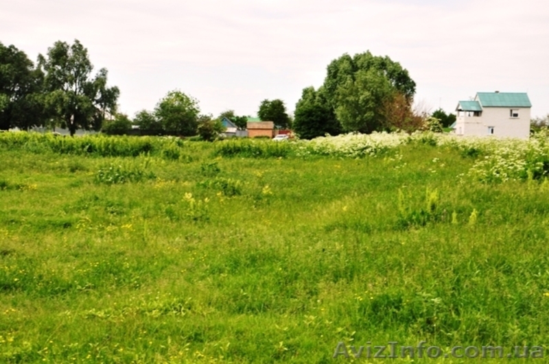 Продам участок в Рогозове! - <ro>Изображение</ro><ru>Изображение</ru> #6, <ru>Объявление</ru> #1186995