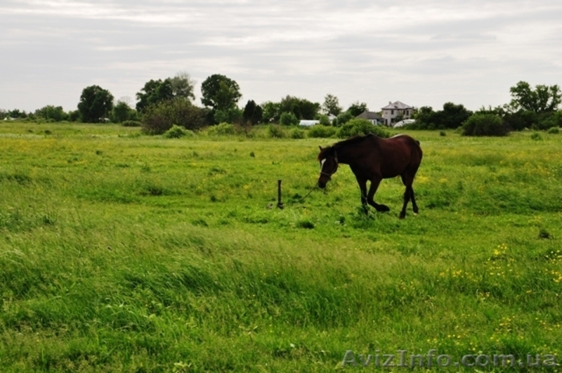 Продам участок в Рогозове! - <ro>Изображение</ro><ru>Изображение</ru> #5, <ru>Объявление</ru> #1186995