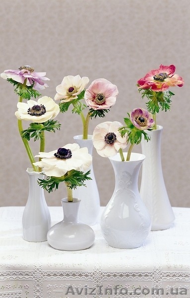 Школа флористики приглашает на обучение - <ro>Изображение</ro><ru>Изображение</ru> #4, <ru>Объявление</ru> #1205607