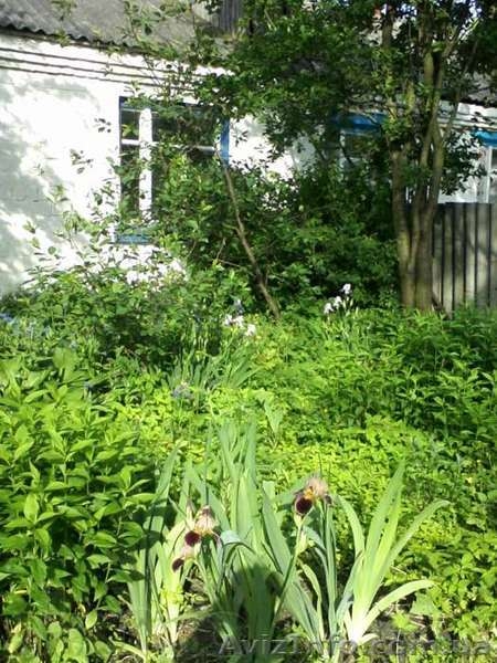 Дом, квартира (63,8 м2) в с. Софиевка, земельный участ 0,19 га - <ro>Изображение</ro><ru>Изображение</ru> #4, <ru>Объявление</ru> #1225744