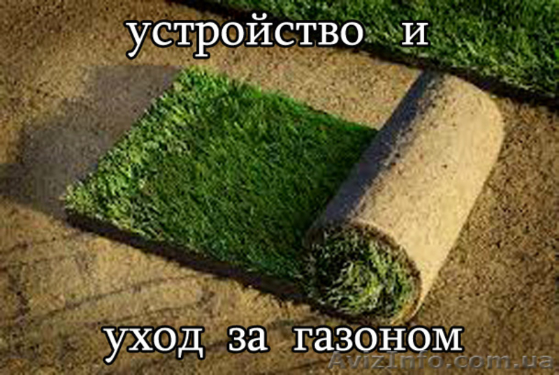 Устройство газона,посевной и рулонный газон  - <ro>Изображение</ro><ru>Изображение</ru> #2, <ru>Объявление</ru> #420605