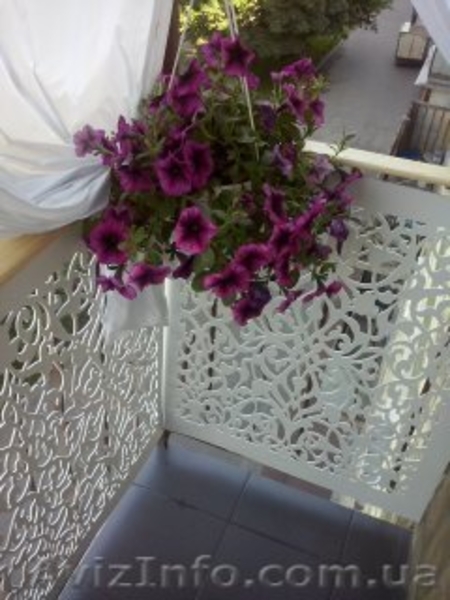 Ширмы, перегородки, декоры - <ro>Изображение</ro><ru>Изображение</ru> #4, <ru>Объявление</ru> #1224896