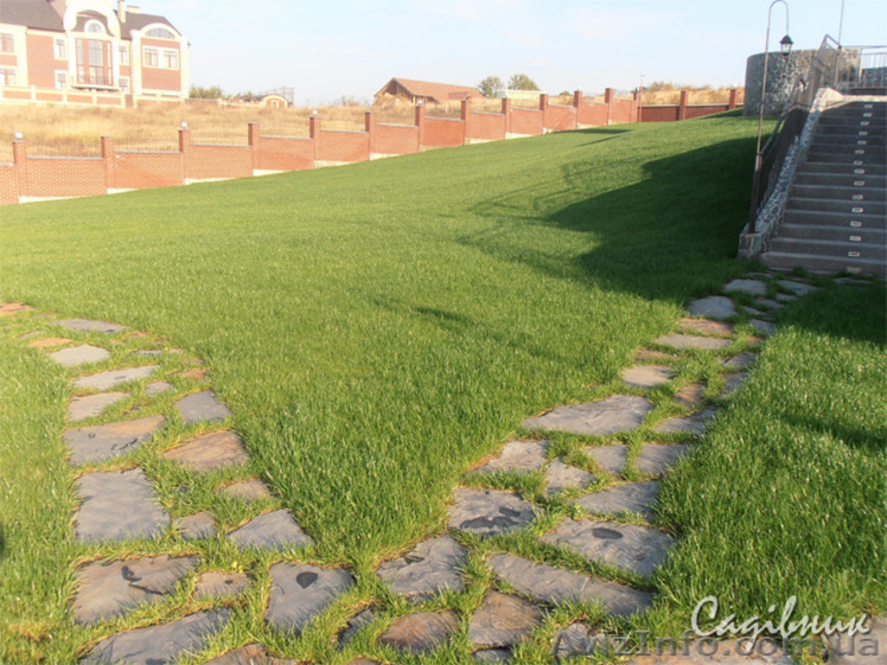 Устройство газона,посевной и рулонный газон  - <ro>Изображение</ro><ru>Изображение</ru> #1, <ru>Объявление</ru> #420605