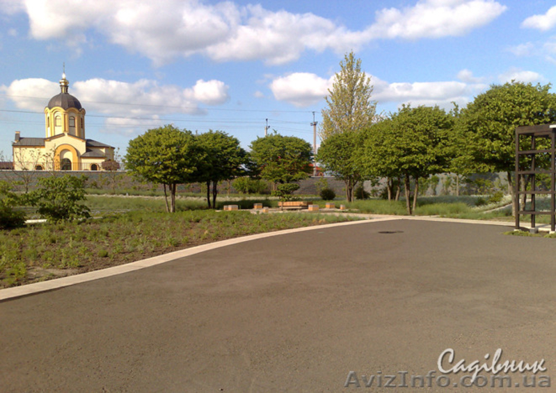 Посадка деревьев (крупномеров) - <ro>Изображение</ro><ru>Изображение</ru> #4, <ru>Объявление</ru> #420598