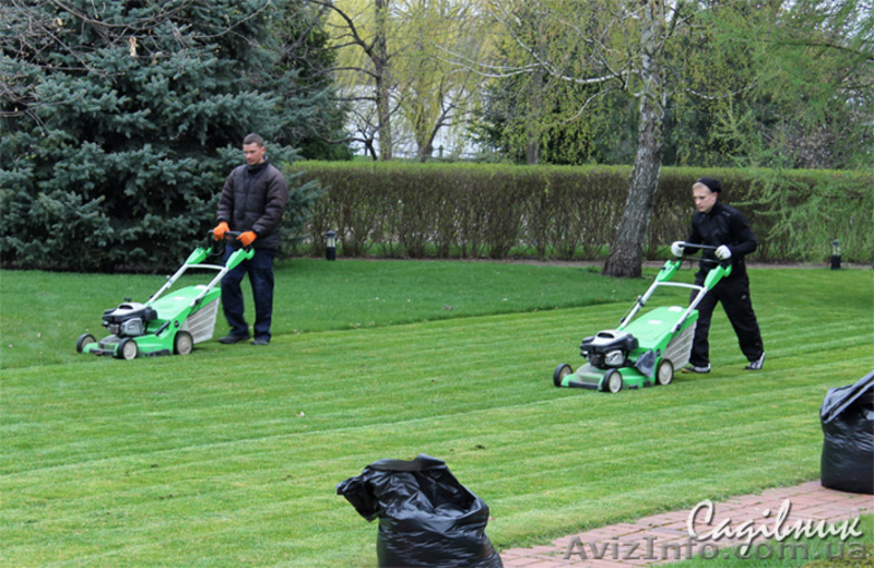 Устройство газона,посевной и рулонный газон  - <ro>Изображение</ro><ru>Изображение</ru> #5, <ru>Объявление</ru> #420605