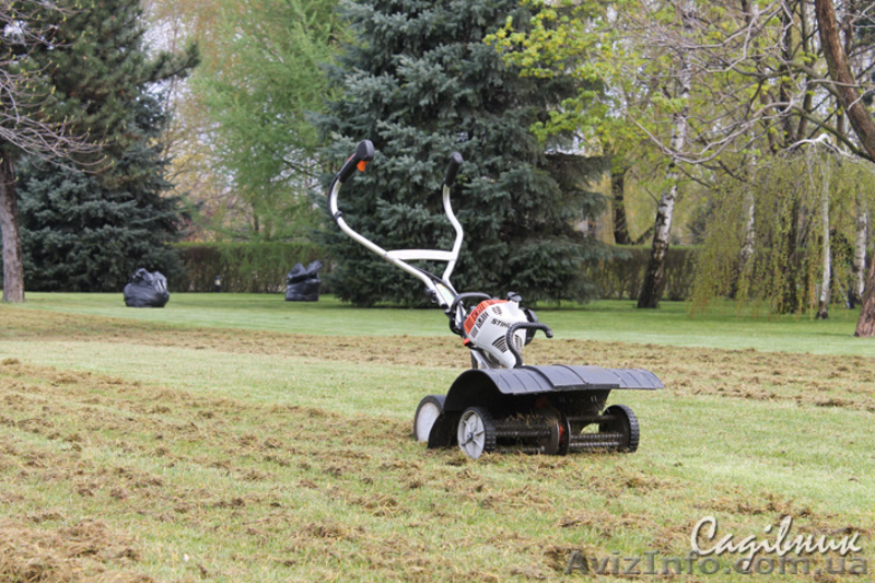Устройство газона,посевной и рулонный газон  - <ro>Изображение</ro><ru>Изображение</ru> #6, <ru>Объявление</ru> #420605