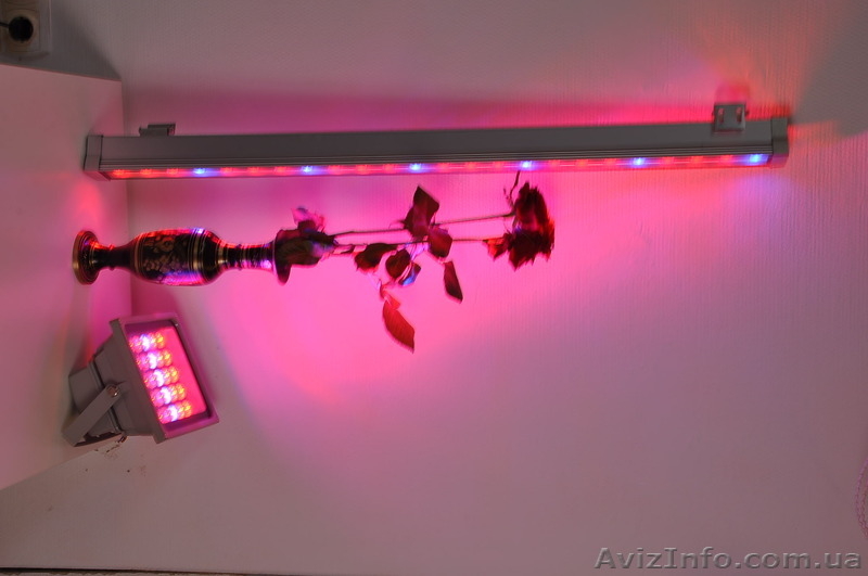 Светодиодный светильник для теплиц 30W - <ro>Изображение</ro><ru>Изображение</ru> #3, <ru>Объявление</ru> #1223123