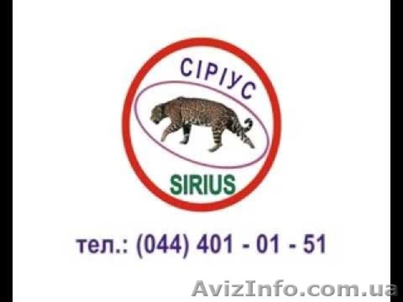 Сириус. Охрана квартир офисов, домов - <ro>Изображение</ro><ru>Изображение</ru> #3, <ru>Объявление</ru> #1223226