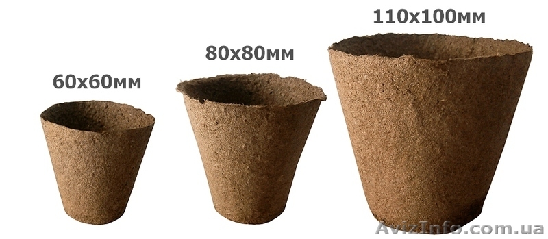 Саженцы, удобрения, семена, садовый инвентарь - <ro>Изображение</ro><ru>Изображение</ru> #5, <ru>Объявление</ru> #1226264