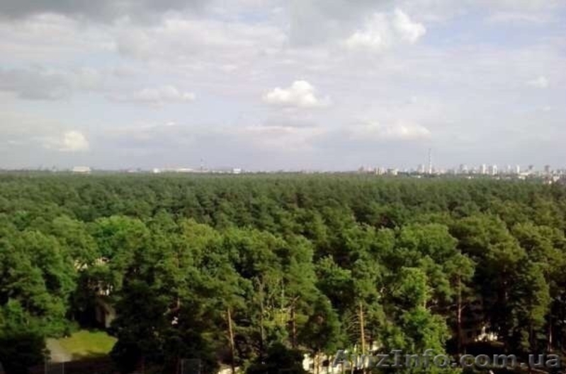 Продам 3-ную квартиру - <ro>Изображение</ro><ru>Изображение</ru> #4, <ru>Объявление</ru> #1216382