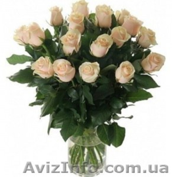 Букеты из роз  - <ro>Изображение</ro><ru>Изображение</ru> #1, <ru>Объявление</ru> #1222541