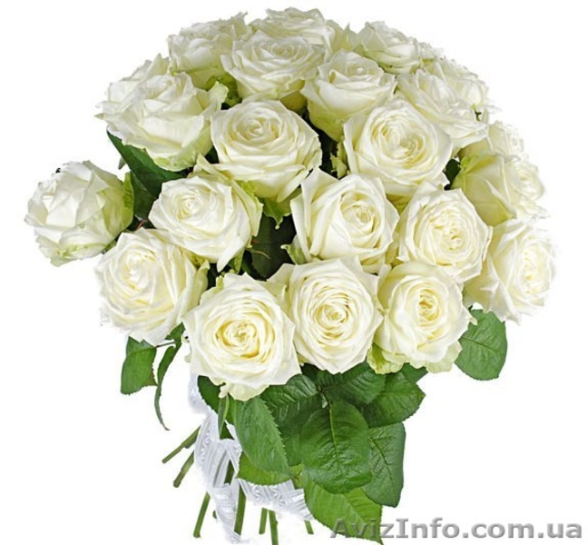 Букеты из роз  - <ro>Изображение</ro><ru>Изображение</ru> #3, <ru>Объявление</ru> #1222541