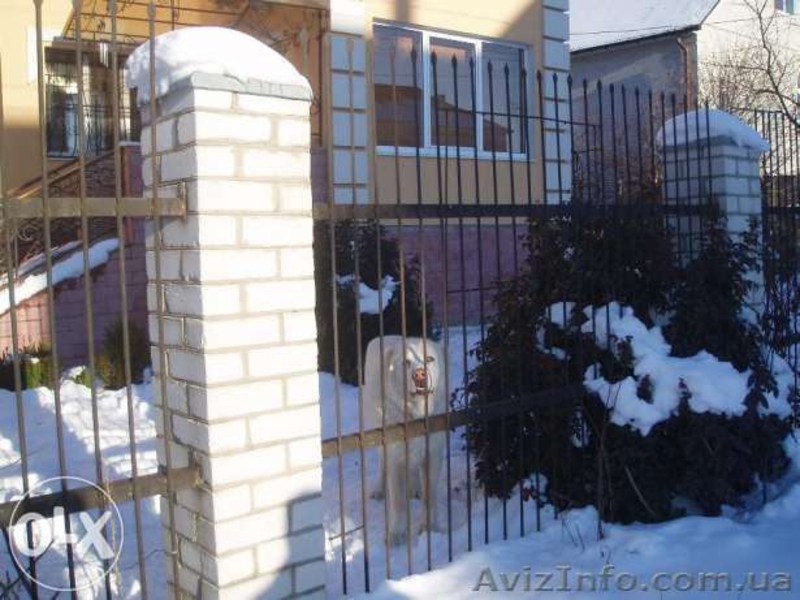 Частный коттедж с большим участком в Броварах. - <ro>Изображение</ro><ru>Изображение</ru> #3, <ru>Объявление</ru> #1238108