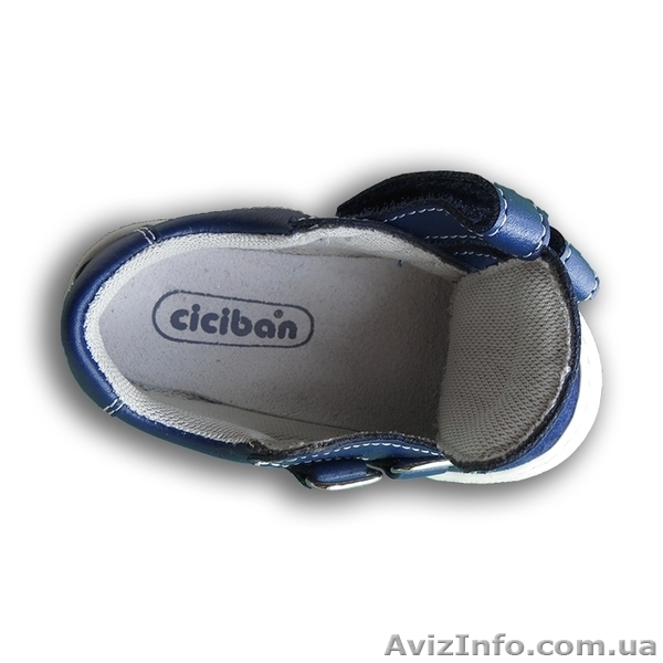 Кожаные детские кроссовки. Ciciban(Словения). Стелька с супинатором.  - <ro>Изображение</ro><ru>Изображение</ru> #3, <ru>Объявление</ru> #1230906