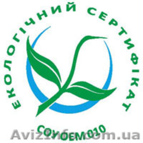 макаронные изделмя - <ro>Изображение</ro><ru>Изображение</ru> #1, <ru>Объявление</ru> #1257201