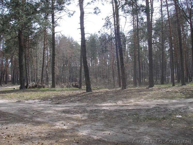 Срочная продажа !!! Земельный участок возле леса. Почти даром !!! - <ro>Изображение</ro><ru>Изображение</ru> #5, <ru>Объявление</ru> #1261823