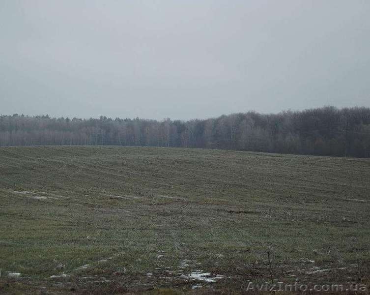 Участок под стр.дом рядом ЛЕС,ОЗЕРО!! Бровары,c.Русанов  45км от Киева - <ro>Изображение</ro><ru>Изображение</ru> #1, <ru>Объявление</ru> #1271917