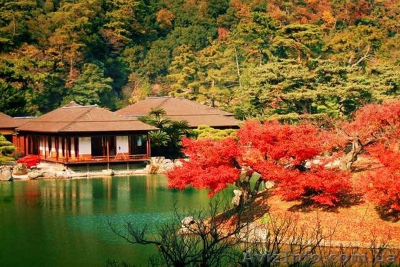 Япония. Очарование поры осенней. Любование клёнами — момидзи - <ro>Изображение</ro><ru>Изображение</ru> #4, <ru>Объявление</ru> #1274007