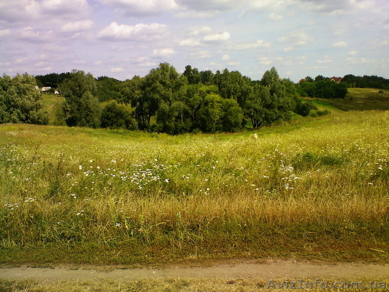 Продам участок 22 сотки, Большая Солтановка - <ro>Изображение</ro><ru>Изображение</ru> #3, <ru>Объявление</ru> #1271807