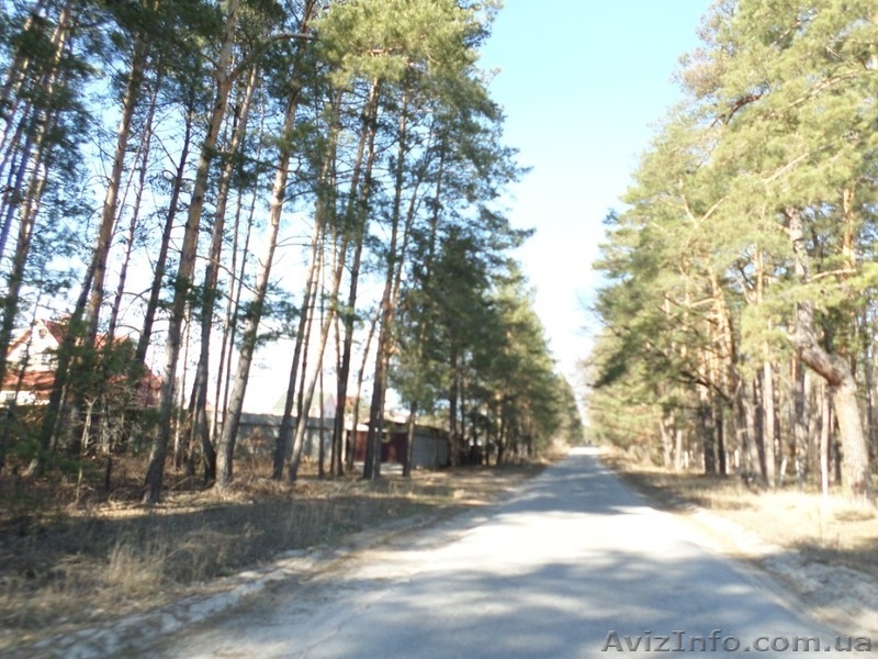 Продам участок в с.Цибли - <ro>Изображение</ro><ru>Изображение</ru> #1, <ru>Объявление</ru> #1278153